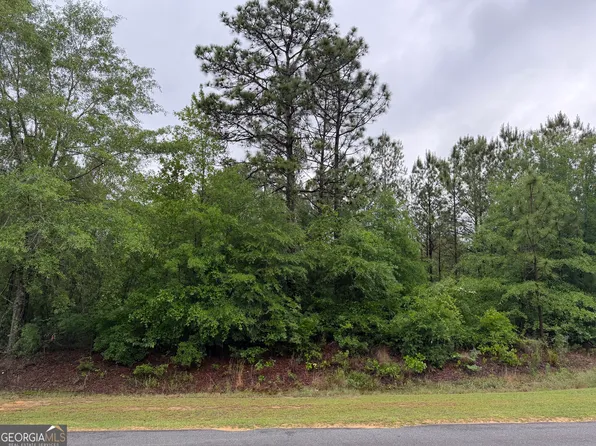 0 Jw Miller Rd, Reynolds, GA 31076