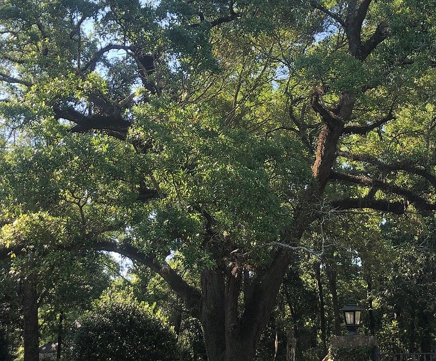 227 Farm Dr, Leesburg, GA 31763 Zillow