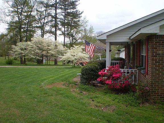 Beautiful Dogwood trees and pink azaleas
