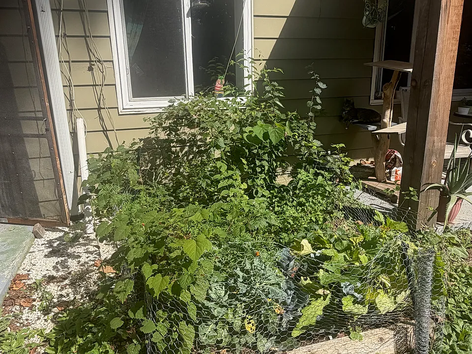 Raised gardening bed