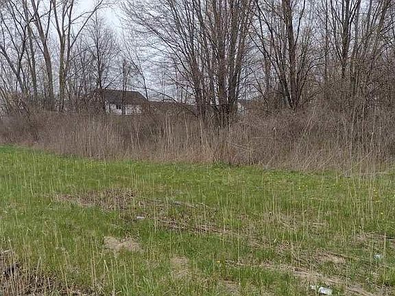 3rd image of 0 N Cotton Rd