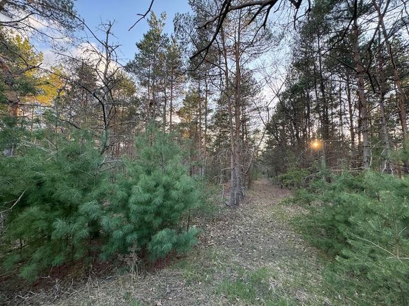 Kaleva St, Kaleva, MI 49645