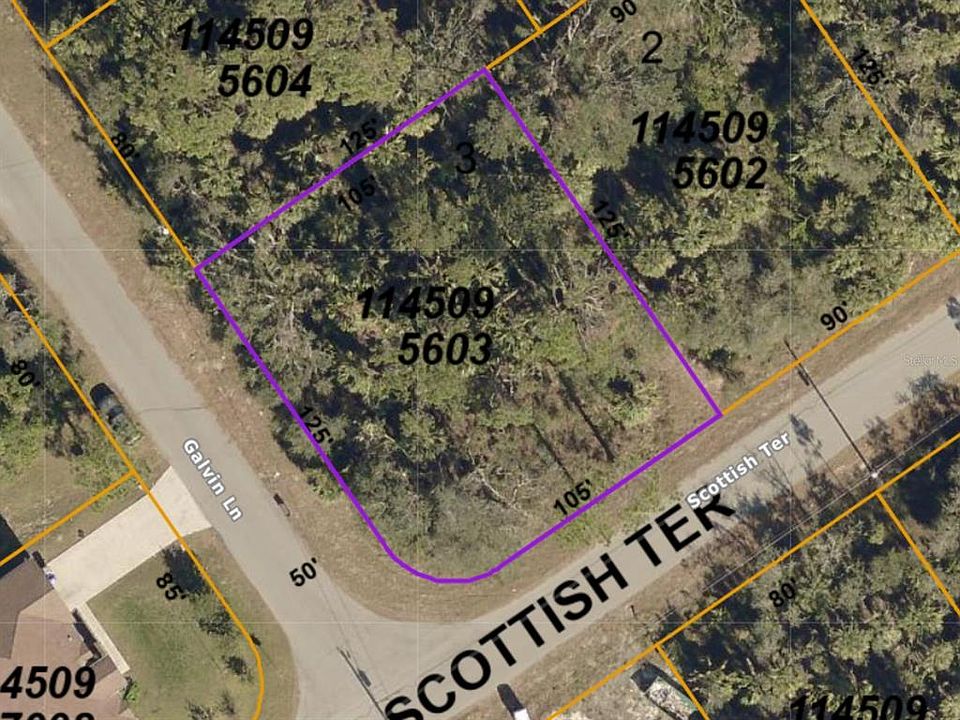 1st image of Scottish Ter Lot 3
