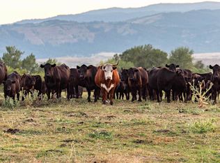 2497 Orchard Rd, Council, ID 83612