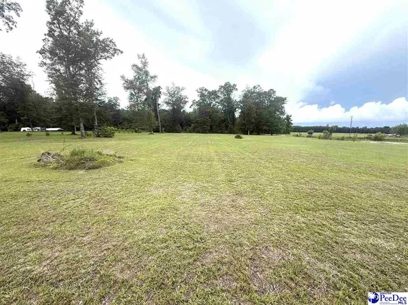Plantation Rd, Johnsonville, SC 29555