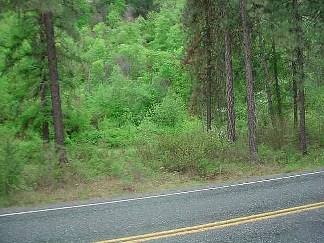 1st image of LOT 9 10th Hwy #25-N