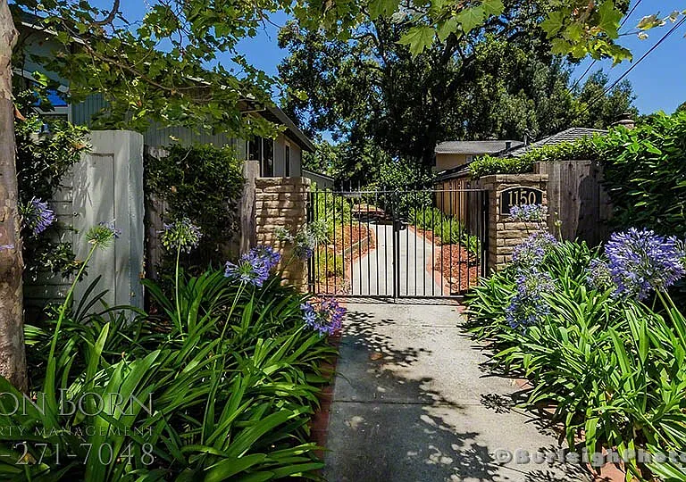 1150 Pine St #D-1 — Photo 16