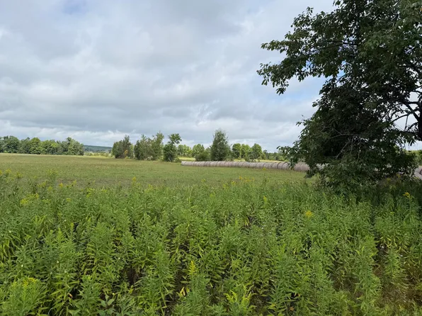 W15976 Quarter Dr, Goodman, WI 54125