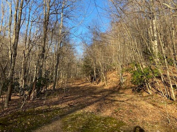 0 Sawyer Run Rd, Cowen, WV 26206