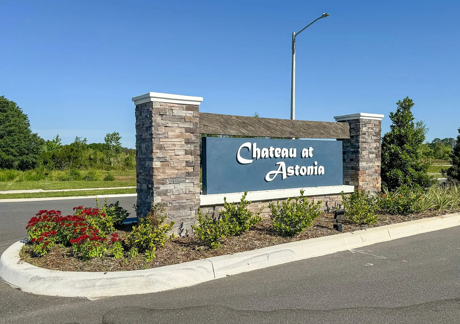 Chateau at Astonia Townhouse — Photo 2