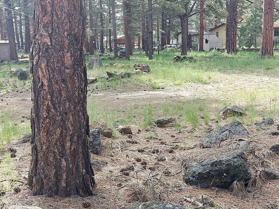 2nd image of 687-490 Sycamore Way