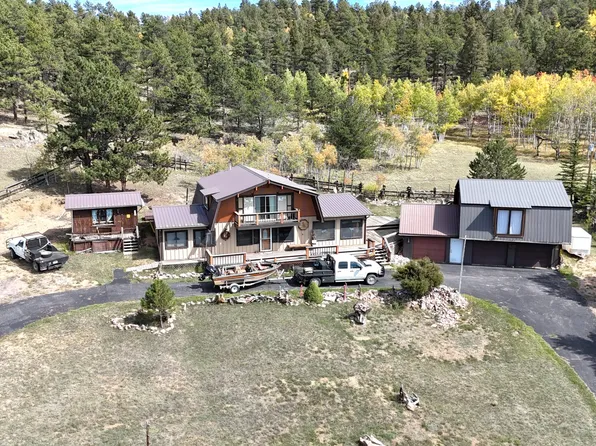 60 Pawnee Path, Lake George, CO 80827