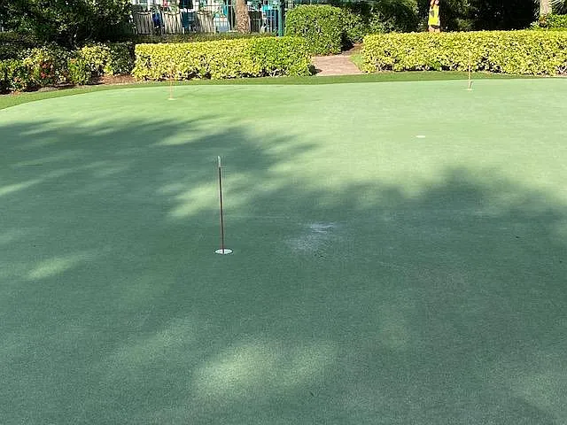 Practice Your Putting