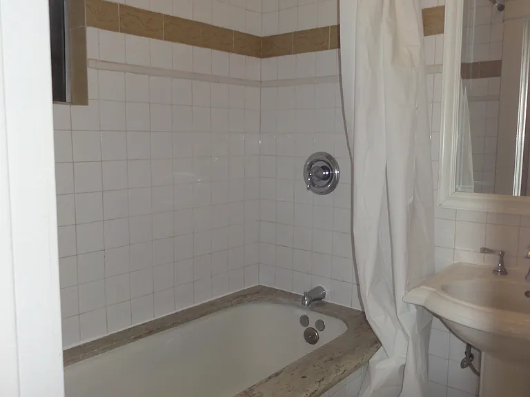 Shower with bathtub