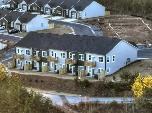 Unit 14 Grove Loop, Blue Ridge, GA 30513