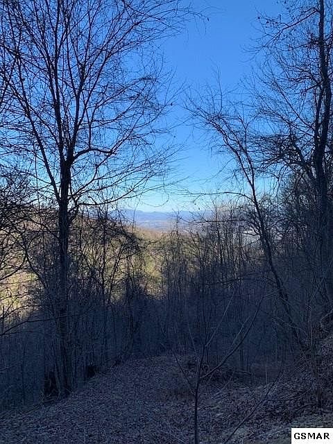 1st image of 0 Bluff Mountain Rd Lot 10