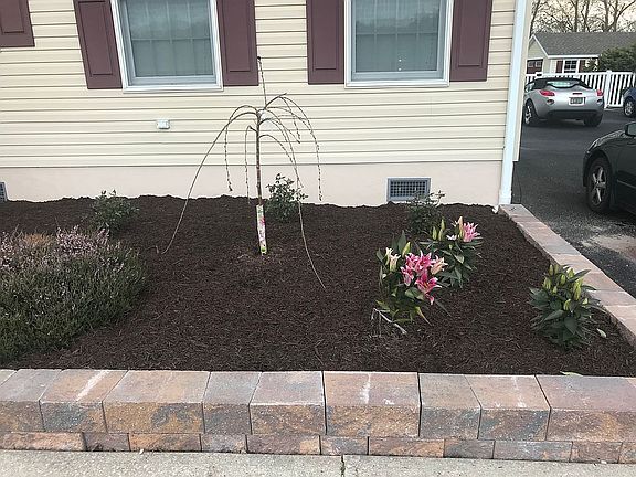 Landscaping -Front