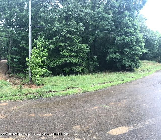 1st image of 11 Scattered Oaks Dr