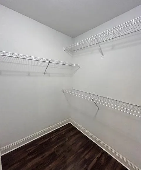 Master bathroom walk in closet #1