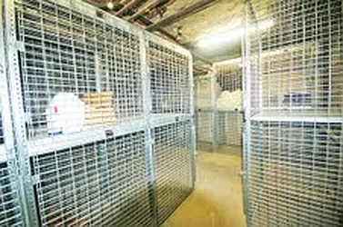 Rented by Link NY Realty