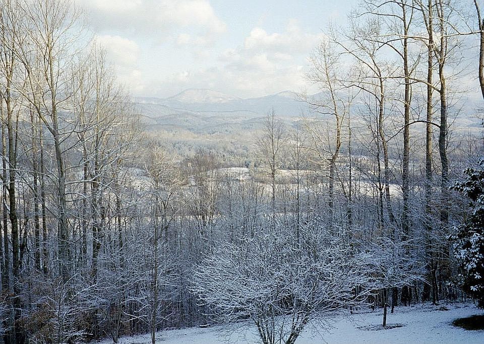 Winter view from Back Porch