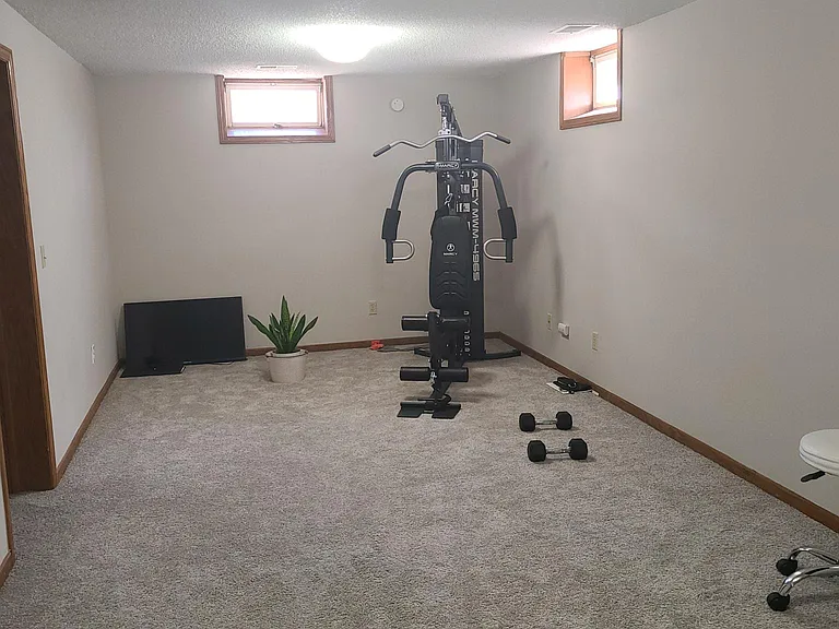 Family room or gym in the basement.