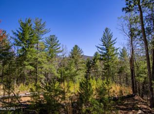 2.42 Smithfield Rd, Tellico Plains, TN 37385