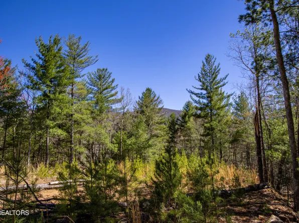 2.42 Smithfield Rd, Tellico Plains, TN 37385