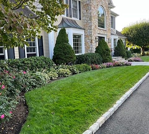 2nd image of 29 N Meadows Ln