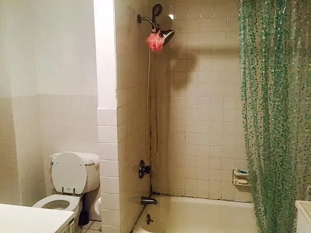 2 bed, 900 sqft, $3,000 — Photo 2