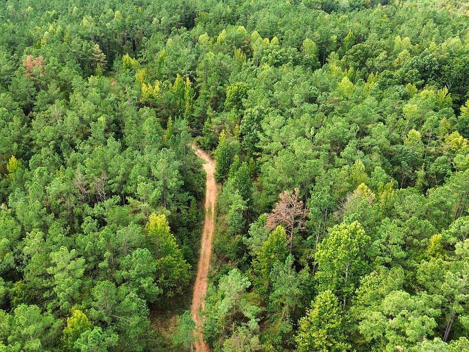 Dji Fly 20260924 111346 31 1790266982511 Photo Optimized Jpg