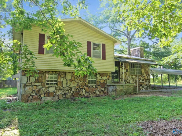 247 Sherwood Blvd, Fyffe, AL 35971