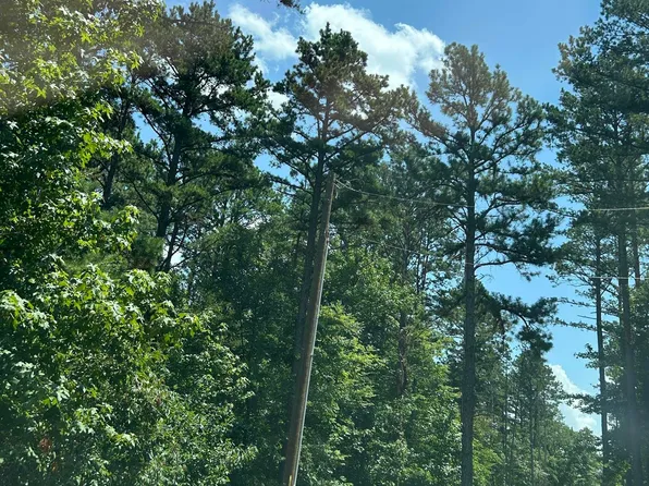 (undisclosed Address), Bee Branch, AR 72013
