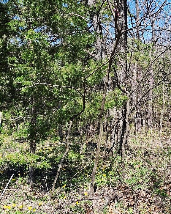 1st image of 185 Wilderness Trl