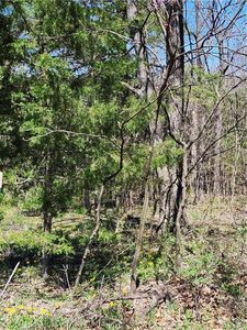 185 Wilderness Trl, Linn Valley, KS, 66040