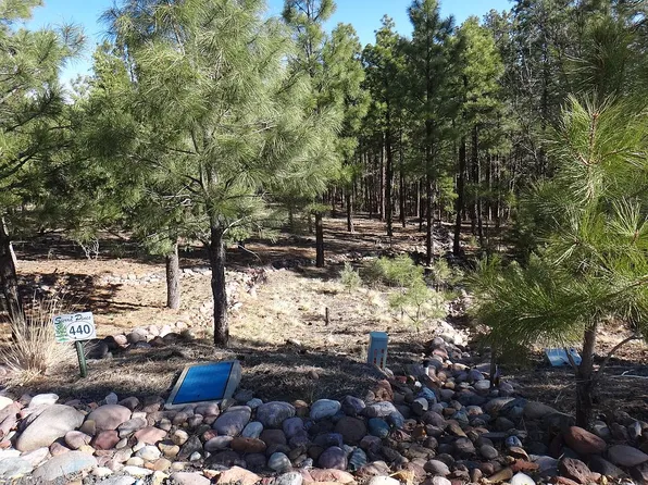 2200 S Columbine Ct, Show Low, AZ 85901