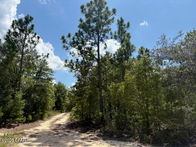 0 Pinellas Dr, Chipley, FL, 32428