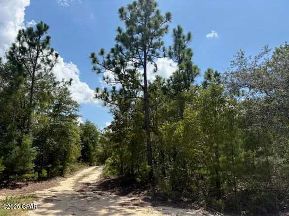 0 Pinellas Dr, Chipley, FL 32428