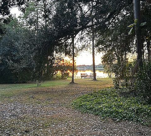 Backyard - partial view