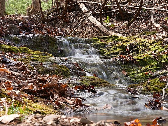 2nd image of N Ridge Ln