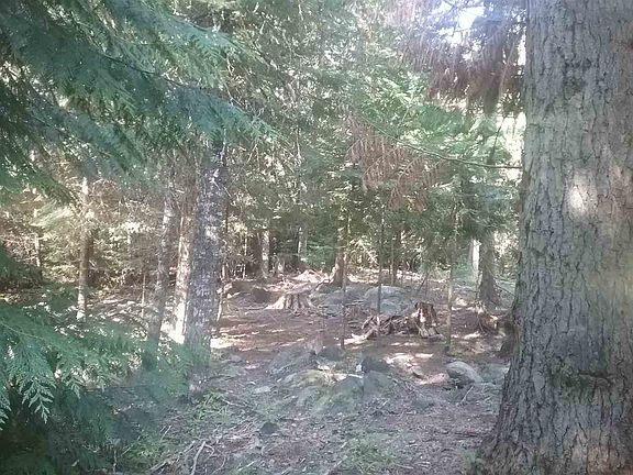 4th image of 1348 Sunrise Hill Ln