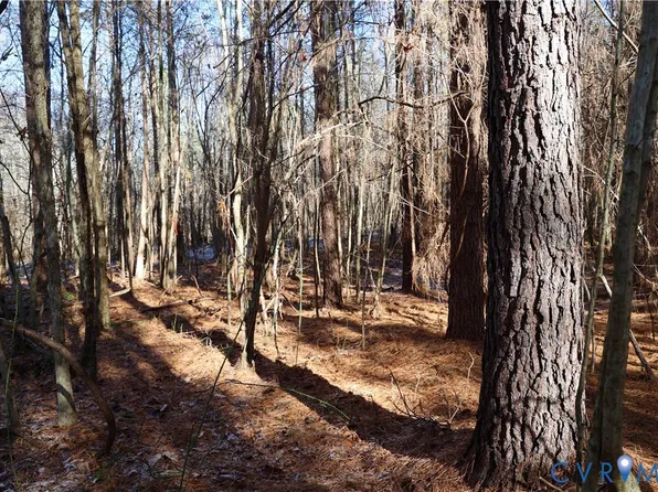 0 Beaver Acres Ln Lot 13, Buffalo Junction, VA 24529