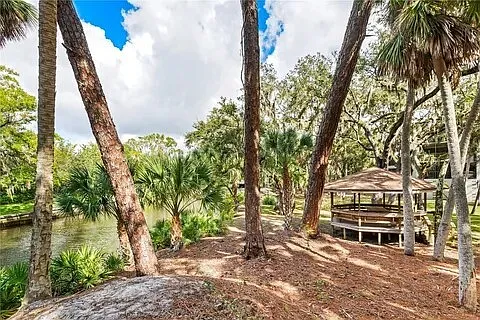 2733 Orchid Oaks Dr #202B — Photo 35