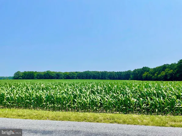 Lonesome Rd, Seaford, DE 19973