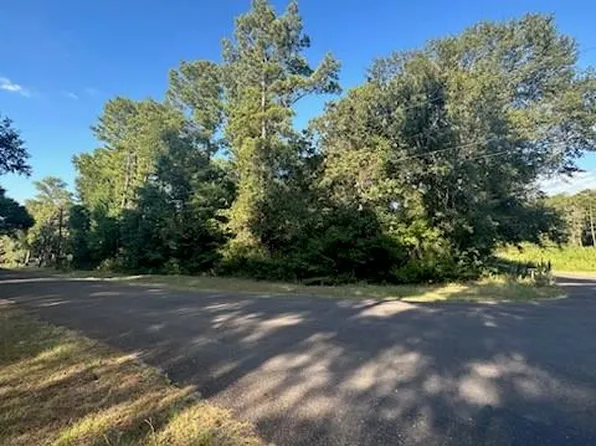 TBD W Hollyhill Drive, Plantersville, TX 77363
