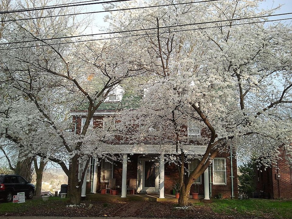 Exterior in Spring