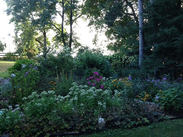 1 of many gardens