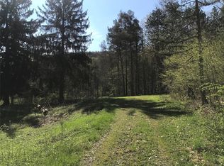 3046 Maxian Rd, Binghamton, NY 13903