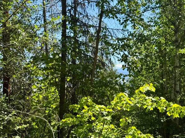 Perelandra Cir Lot 36-37-41, Danville, WA 99121