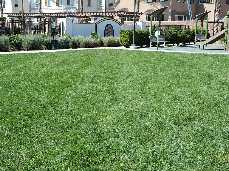 8770 Celebration St — Photo 44